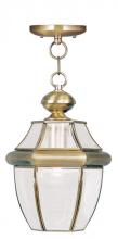 Livex Lighting 2152-01 - 1 Light AB Outdoor Chain Lantern