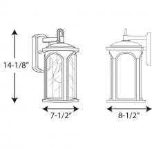 PROG_P560088-020dimensions_lineart.jpg