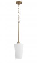 Revolution Lighting GR-PL1BBWHG - 1 Light Pendant