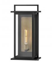 Hinkley 24025BK - Large Wall Mount Lantern